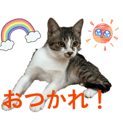 YUKA_20260510180137