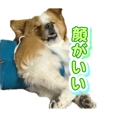 naru_20260510180022