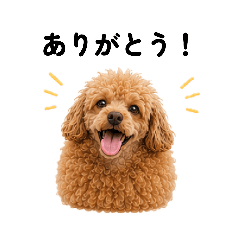 SACHIARE_20260510180405