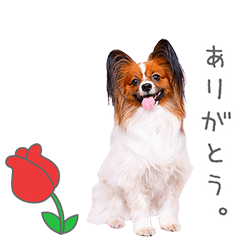 Stamp No:8996