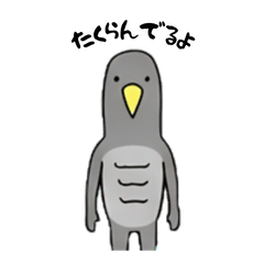 cuckoo cuckoo