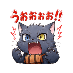 Kegnya - Daily Cat Reactions