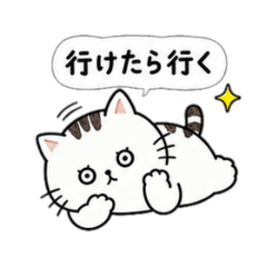 Marume the Cat: Gentle Declines
