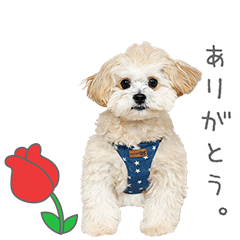 Stamp No:9014