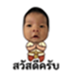 pokpongbaby
