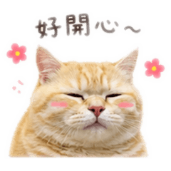 小_寶_貝