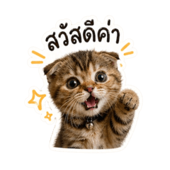 panky_20260429205341
