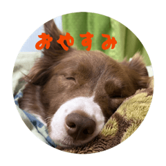 shun_20260510184326