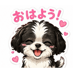 散髪したて