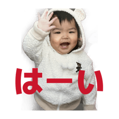 CHAM_20260510183930