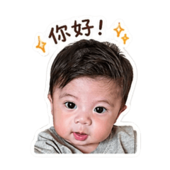 Yokty_20260428121252