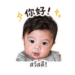 Yokty_20260428124605