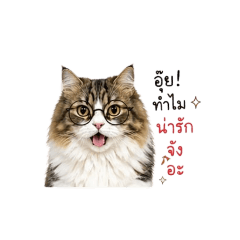 NAT SIRI_20260428165616