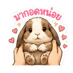 Rabbit Lucky_20260428165811