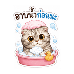 Nus Naphatsanan_20260428165841