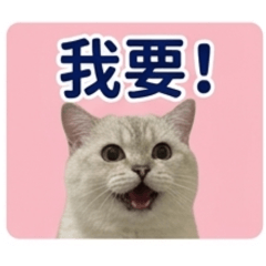 Q比超實用貼圖