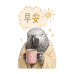 Milk’s daily 2