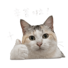 99碎碎念