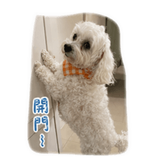 寶皮的小貼圖