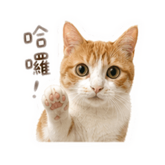 哈囉～我是Nana