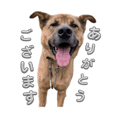 Sakuriku_20260510192609