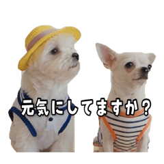 micron_20260510193332