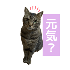 ookayoo_20260510193106