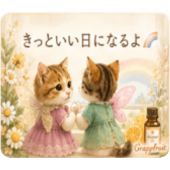 merumyu_20260510193401
