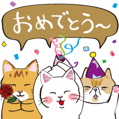 Congratulations, celebratory cat