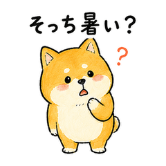 Summer Shiba Dog Stickers