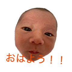 Akihiko_20260510195712