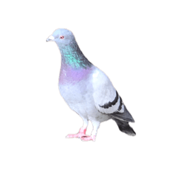 ken_20260510200127