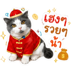 NooJune_20260428165941