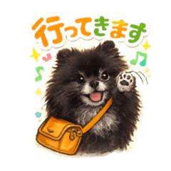 shinofull_20260510203102