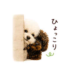 tapioca_20260510203724