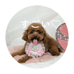 Mirai_20260510204448