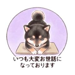 maru_20260510204442