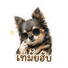 Nunee_20260428170219