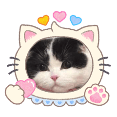 Nongshabuu_20260428170238