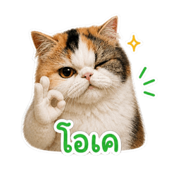 Malicatmesocute