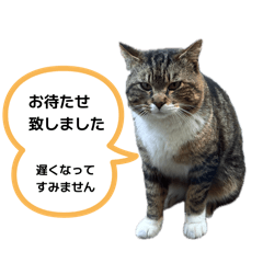 kanachan_20260510205733