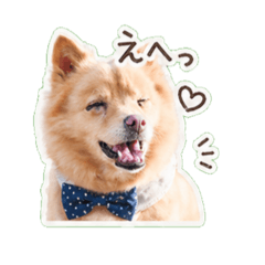 megu_20260428225718