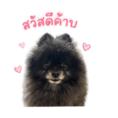 Fernandfurryfriends 2