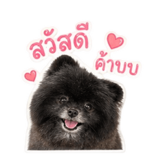Fernandfurryfriends 4
