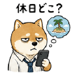 The Working Shiba Inu