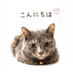 RIKA_20260510195038