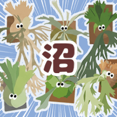 鹿角蕨世界:超萌植感日常