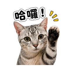 二條寶寶來囉！