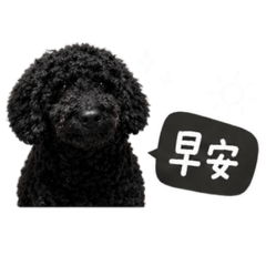 歐麻麻日常對話（初版）