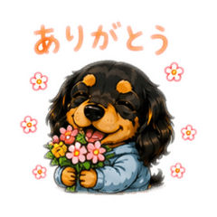 Somewan_20260510210228